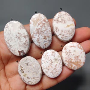 Naturliga Rosetta Jaspis Cabochoner – Platt Ädelsten för Smyckestillverkning (27 x 35 mm)