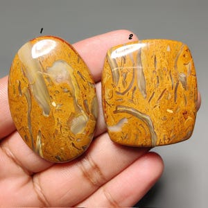 May include: Two polished gemstones with a mix of orange, brown, and cream colors. One is oval, the other is square with rounded corners. Both have unique, natural patterns, ideal for jewelry or collecting.