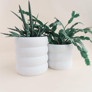 May include: Two white textured ceramic planters, each with a unique plant. One planter holds a snake plant with tall, pointed leaves. The other contains a Christmas cactus with green, segmented stems. The planters have a stacked, rounded design.