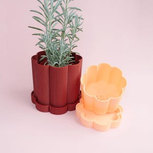 May include: A dark red fluted flower pot containing a green plant, paired with a matching saucer. Beside it sits an identical light peach-colored flower pot and saucer, featuring a scalloped rim, vertical ribbed texture, and drainage holes.