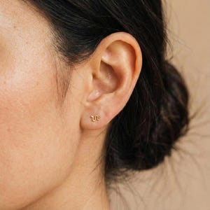 Op de afbeelding: Close-up van een oor met een kleine, goudkleurige slangenoorbel. De oorbel heeft een minimalistisch ontwerp, met een delicate, kronkelende vorm. De huidskleur is licht en de achtergrond is een zachte, neutrale kleur.