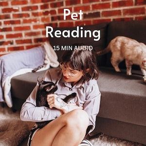 Könnte beinhalten: Eine Person hält eine schwarze Katze, mit dem Text "Pet Reading" und "15 MIN AUDIO" in Weiß. Eine zweite Katze befindet sich auf einem grauen Sofa im Hintergrund. Der Hintergrund umfasst eine Backsteinmauer und ein graues Sofa.