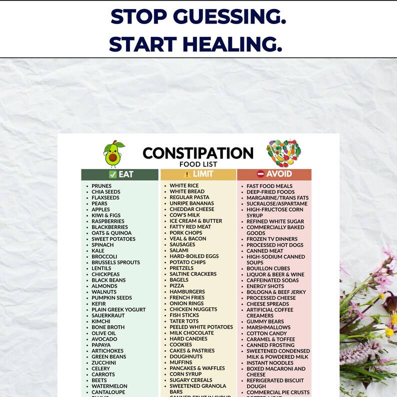 Constipation List Constipation Food List PDF – High Fiber Diet Guide, Gut Motility ...