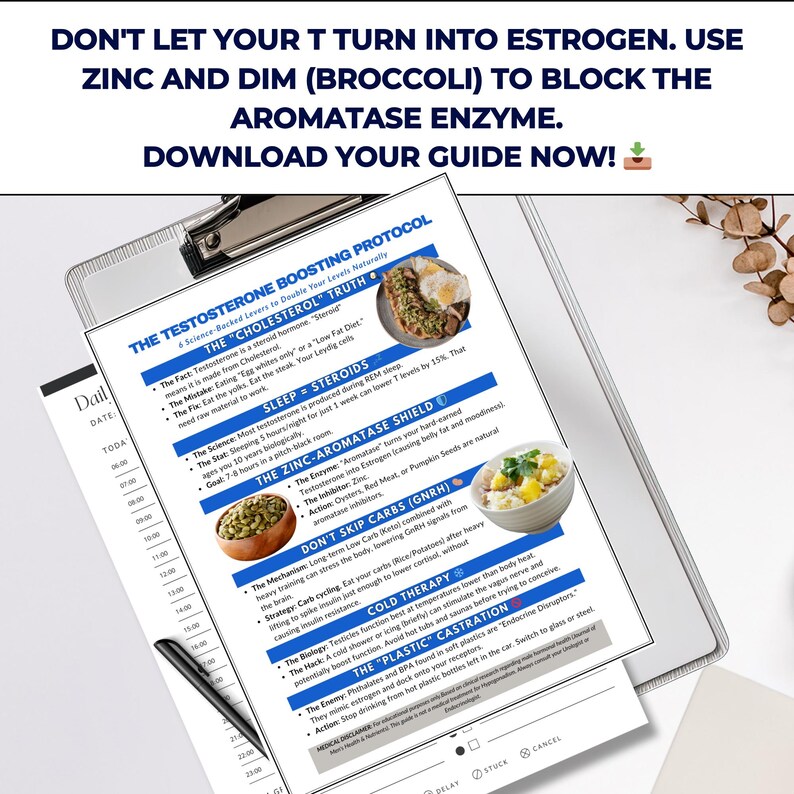 Testosterone Food List, Natural Hormone Diet Guide, Zinc Rich Foods ...