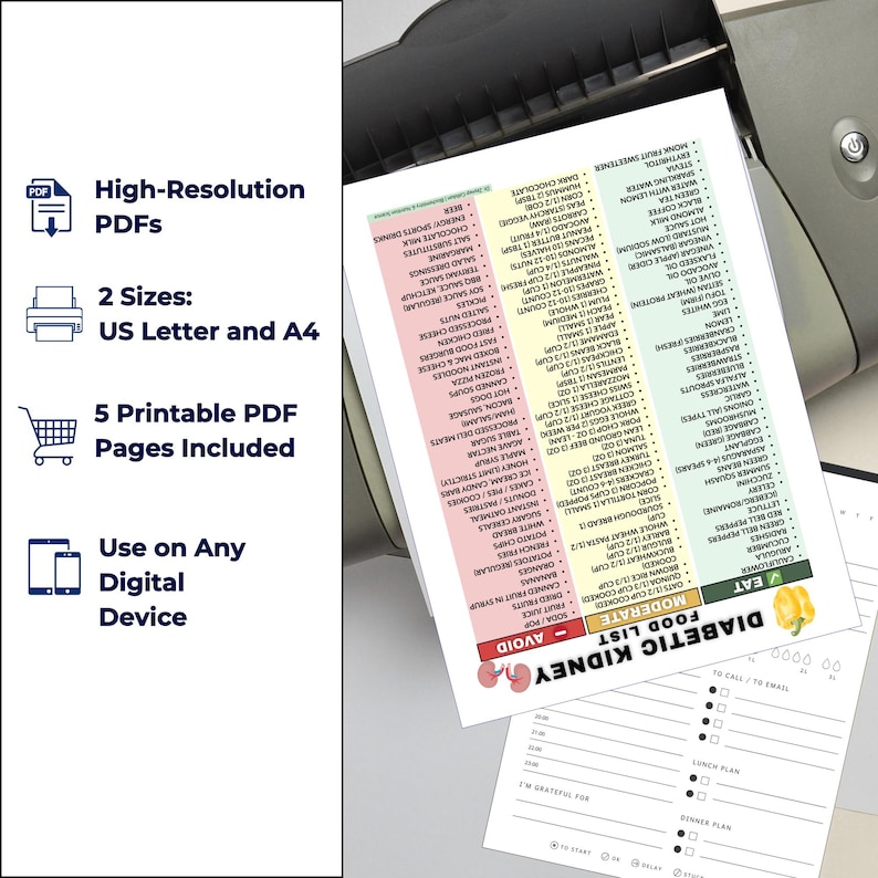 May include: A printed PDF document with a food list for a diabetic kidney diet, including sections for foods to eat, moderate foods, and foods to avoid. The document is in a printer.