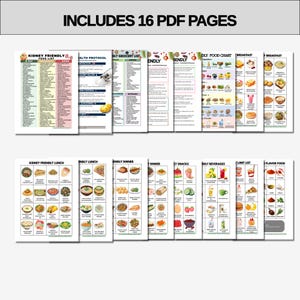 Op de afbeelding: Een verzameling van 16 PDF-pagina's met verschillende voedsel lijsten en grafieken. De pagina's bevatten titels als "Kidney Friendly Food List", "Health Protocol" en "Breakfast". De afbeelding toont kleurrijke illustraties van verschillende voedingsmiddelen.