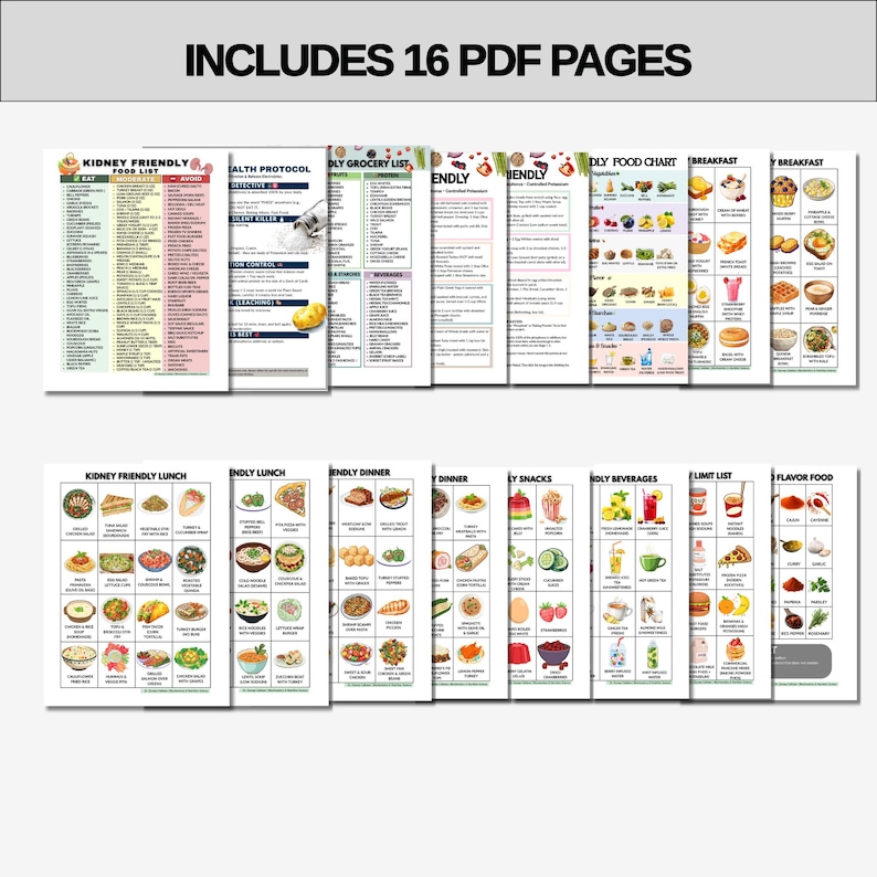 Op de afbeelding: Een verzameling van 16 PDF-pagina's met verschillende voedsel lijsten en grafieken. De pagina's bevatten titels als "Kidney Friendly Food List", "Health Protocol" en "Breakfast". De afbeelding toont kleurrijke illustraties van verschillende voedingsmiddelen.