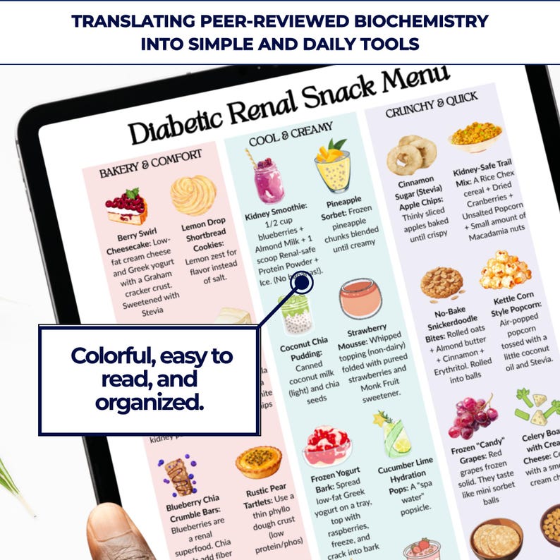 Diabetic Kidney Snack Menu – CKD & Type 2 Ideas, Low Potassium - Etsy