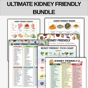Op de afbeelding: Een verzameling educatieve grafieken en lijsten, waaronder "Ultimate Kidney Friendly Bundle" met voedselgrafieken, boodschappenlijsten en snackidee&euml;n. De tekst is in zwart en groen op een witte achtergrond.