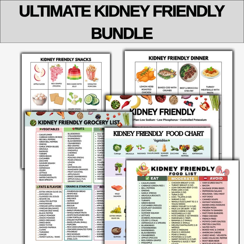 Op de afbeelding: Een verzameling educatieve grafieken en lijsten, waaronder "Ultimate Kidney Friendly Bundle" met voedselgrafieken, boodschappenlijsten en snackidee&euml;n. De tekst is in zwart en groen op een witte achtergrond.