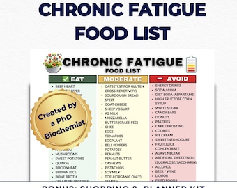Chronic Fatigue Diet Food List, ME CFS POTS Pacing Guide, Mitochondrial Support, Fibromyalgia, Spoonie Pdf