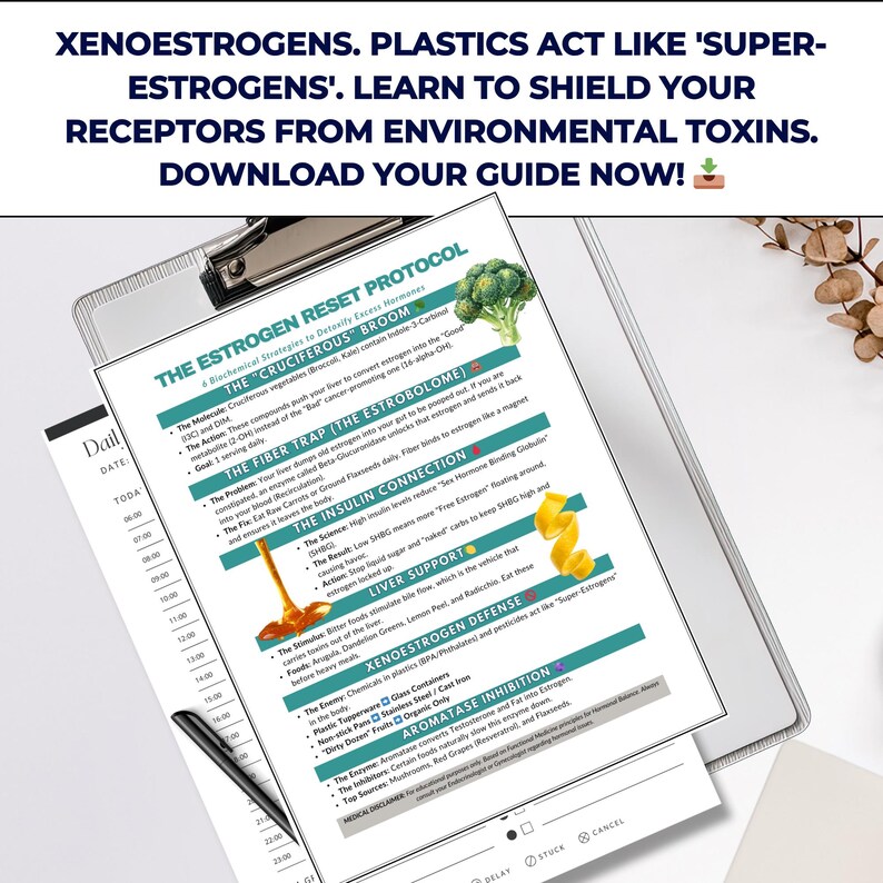 May include: A clipboard with a detailed guide on estrogen detoxification, featuring text and diagrams. The guide covers topics like cruciferous vegetables, fiber, insulin, and liver support. The top text reads: "Xenoestrogens. Plastics act like 'super-estrogens'."