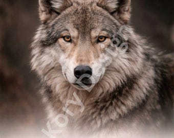 Arte de pared de lobo imprimible / Arte de fuerza femenina salvaje / Decoración de animales poderosos / Descarga de retratos de animales