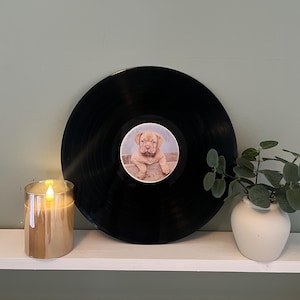 Puede incluir: Un disco de vinilo negro con una imagen circular de un cachorro en el centro. Una vela encendida en un vaso dorado y un pequeño jarrón blanco con vegetación están sobre una estantería blanca. El fondo es verde apagado.