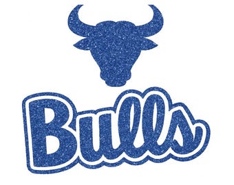 Personalized Bulls Glitter Hoodie