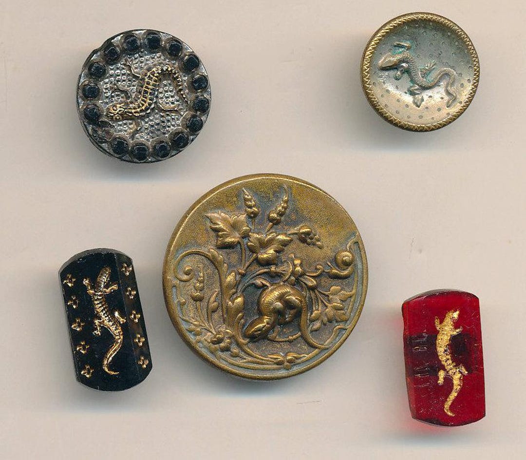 Lizard Real Button Antique Salamander Lizard Buttons - Lot of 5 Ca. 1880's - Etsy