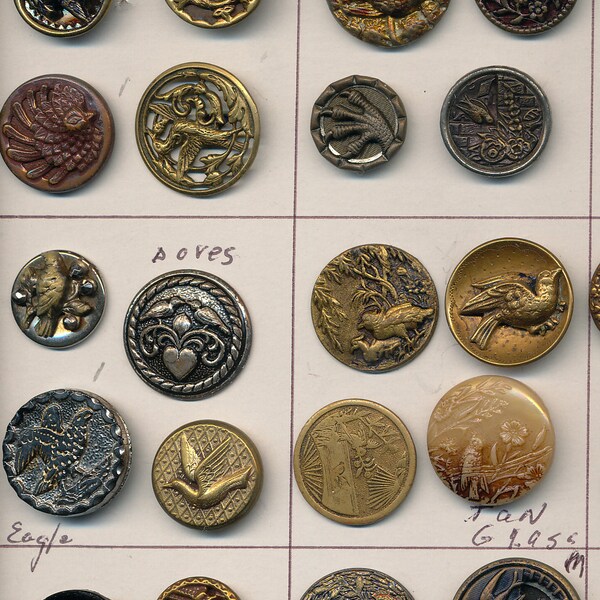 Antique Bird Buttons Lot #3  ca. 1890  20 Small Buttons