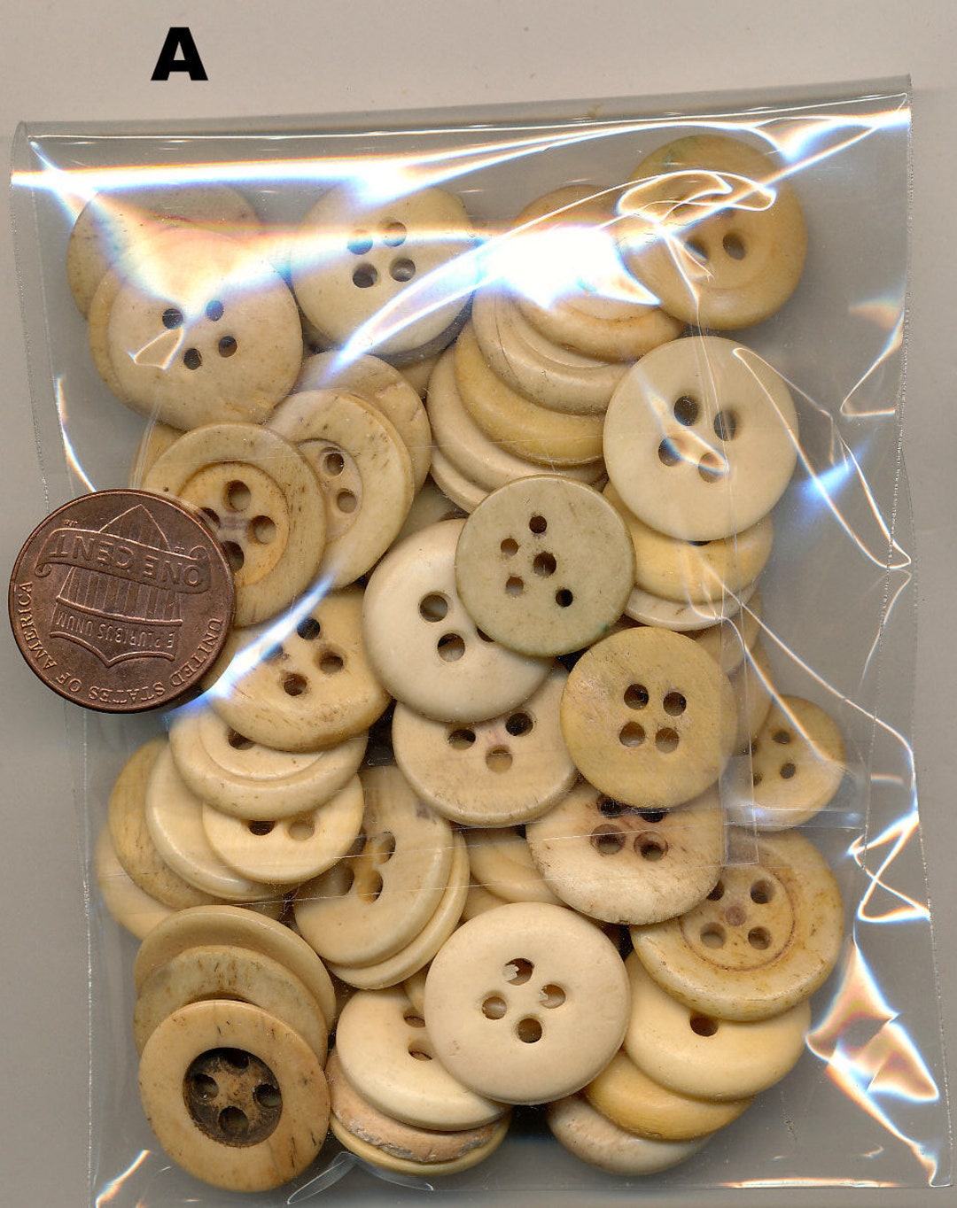 Antique Bone Buttons Lot A From the Late 1800's to 1920's 60 Buttons Etsy