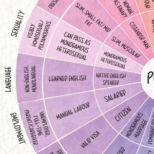 Roue d'intersectionnalité imprimable | Identité et roue du pouvoir | Affiche DEI | Infographie sur la justice sociale | Téléchargement numérique image 5