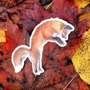 Pouncing Fox Vinyl Sticker