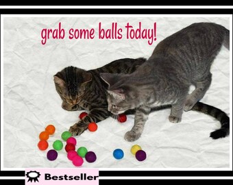 soft balls for cats