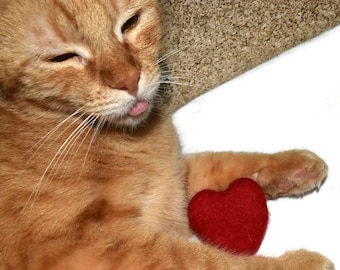 Catnip Infused Hearts and Balls, I Love Mew, Valentine