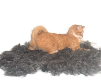 Wool Cat Bed, Wool Dog Bed, Hand Felted Sheared Gotland Sheep Fleece Rug, Natural Pet Bedding, Sustainable Ethical No Kill Sheepskin