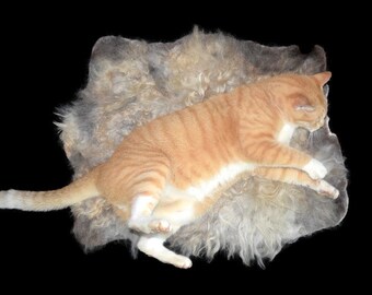 Cats Love Ewe Wool Cat Bed, Wool Dog Bed, Hand Felted Sustainable Wool Fleece Rug, No Kill Perennial Sheepskin, Navajo Churro