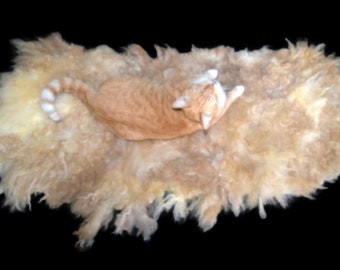 Hand Felted Lamb's Wool Fleece Cat Bed or Dog Bed, Sheared Fleece Rug, Perennial SheepSkin, Natural Pet Bedding
