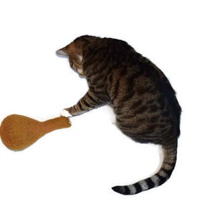 Turkey Drumstick Kicker Toy, Eco Friendly Wool Cat Toy, Catnip or Valerian & Catnip image 3