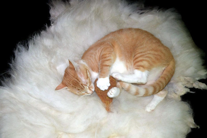 Chicken Leg Cat Toy Chicken Drumstick Kicker Catnip or Etsy