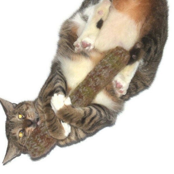 Cat Toy - Valerian Root and Catnip StinkStik