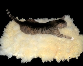 CatLoveEwe Sustainable Sheared Sheep Rug, Felted Wool Fleece, Wool Pet Bed, Humane SheepSkin, Help Support US Family Farms