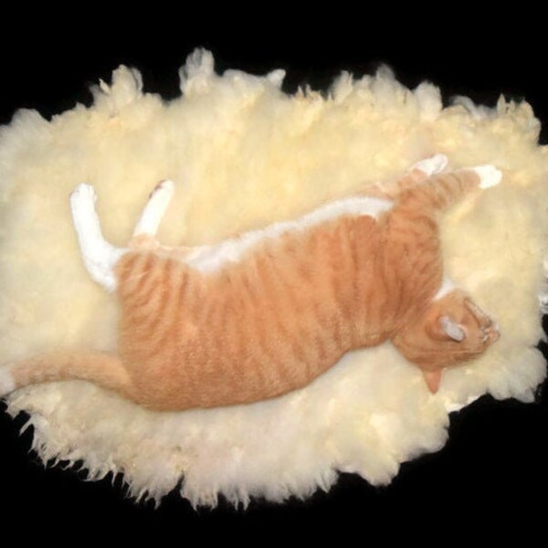 Hand Felted Wool Cat Bed, Sheep Friendly Rug, Rare Gulf Coast Native Sheep, Supporting Small US Farms