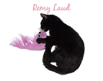 Cat Toy Shrimp, Catnip or Valerian & Catnip -  Remy Laud