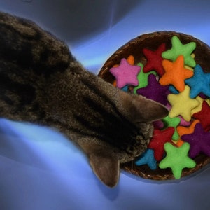 Star Cat Toys - Catnip Infused Wool