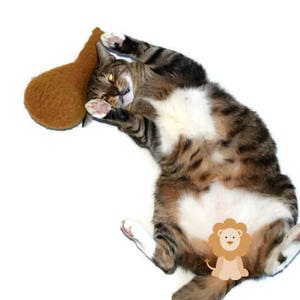 Turkey Drumstick Kicker Toy, Eco Friendly Wool Cat Toy, Catnip or Valerian & Catnip image 1