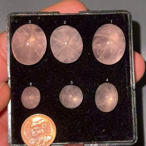 Puede incluir: Colección de seis piedras preciosas de cuarzo rosa pulidas de varios tamaños, expuestas en una caja negra. Las piedras varían en color de rosa pálido a translúcido, con patrones internos visibles. Se incluye una moneda para comparar el tamaño.