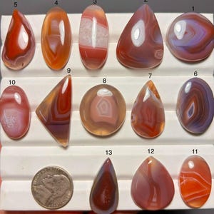 Op de afbeelding: Een verzameling van dertien gepolijste, veelkleurige agaat cabochons in diverse vormen zoals ovaal, druppelvormig en driehoekig, gerangschikt op een wit displayplateau. Een Amerikaanse nikkelmunt is toegevoegd als referentie voor de grootte.