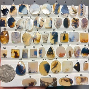 May include: A collection of forty-nine polished dendritic agate cabochons in various shapes and sizes, each featuring unique dark fern-like inclusions on a light background. A US nickel coin is included for scale next to the numbered stones.