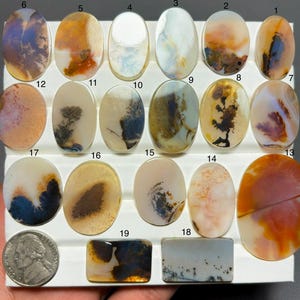 May include: A collection of nineteen polished dendritic agate cabochons in oval and rectangular shapes, numbered 1 through 19, featuring natural inclusions in shades of brown, orange, and black, displayed with a US nickel for scale.