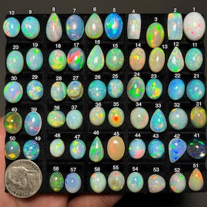 May include: A collection of fifty-one polished, multi-colored opals arranged in a grid on a black display tray, each numbered from 1 to 51. A United States nickel is placed in the bottom left corner for scale, showing the relative size of the stones.