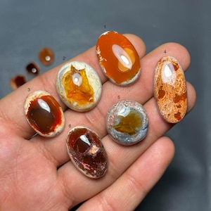 Puede incluir: Una colección de seis piedras preciosas de ópalo pulidas en varias formas y colores, incluyendo naranja, marrón y blanco. Los ópalos son ovalados y redondos, con patrones y estructuras internas únicas. Las piedras preciosas se muestran sobre un fondo neutro.