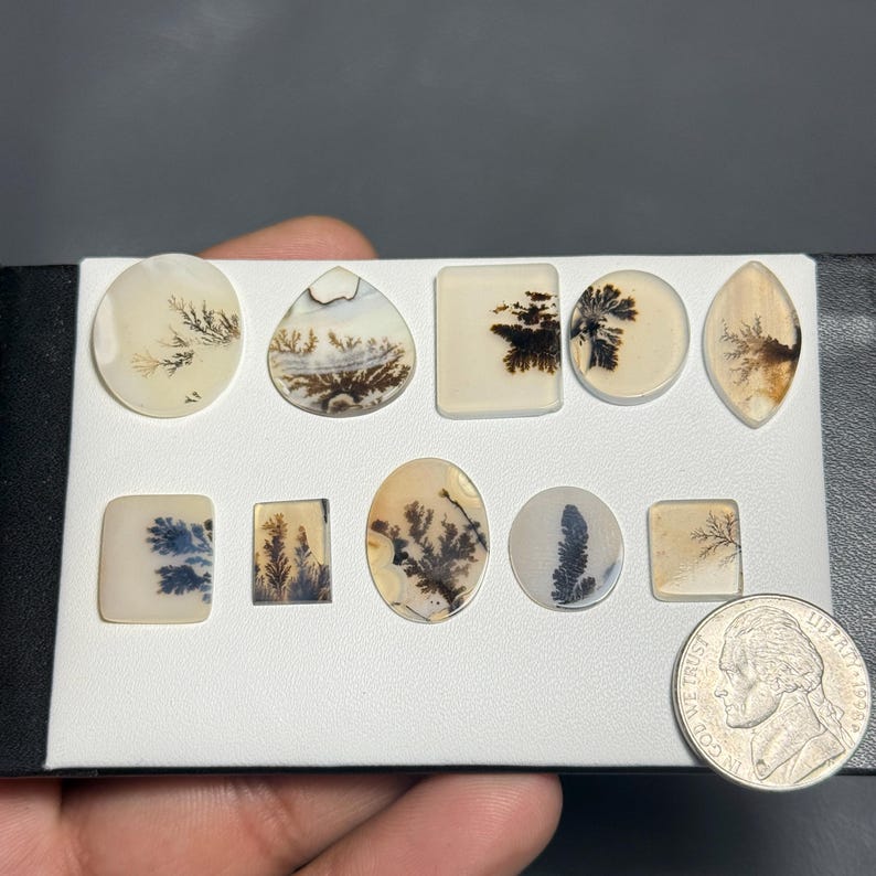 May include: A collection of polished dendritic agate gemstones in various shapes, including oval, teardrop, and square. The stones feature intricate, tree-like patterns in shades of brown, black, and blue against a creamy white background. A US nickel is included for size reference.