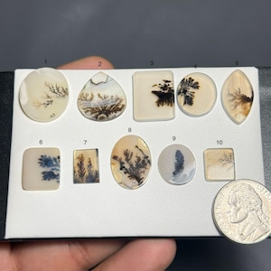 May include: A collection of ten polished dendritic agate gemstones in various shapes, including oval, teardrop, and square. The stones feature intricate, fern-like patterns in shades of brown, black, and blue against a creamy white background. A nickel coin is included for size reference.