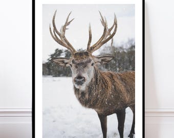 Nordic Deer Wall Art Print, Scandinavian Minimalist Animal Poster, Modern Home Decor, Scandinavian Design