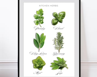 Affiche d'herbes aromatiques pour la cuisine : art botanique, décoration pour la salle à manger