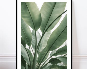 Póster de hojas tropicales, lámina botánica, arte mural, obra de arte moderna de hojas tropicales