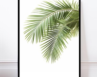 Tropical Palm Leaf Botanical Print, Leaves Wall Art Poster (B), Modern Minimalist Home Decor