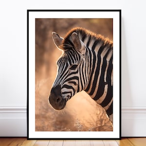 Pode incluir: Uma impressão emoldurada com um close-up da cabeça e pescoço de uma zebra. A zebra tem listras pretas e brancas, com foco no olho e na orelha. O fundo é de um tom dourado quente, sugerindo um pôr do sol ou nascer do sol. A impressão está em uma moldura preta.